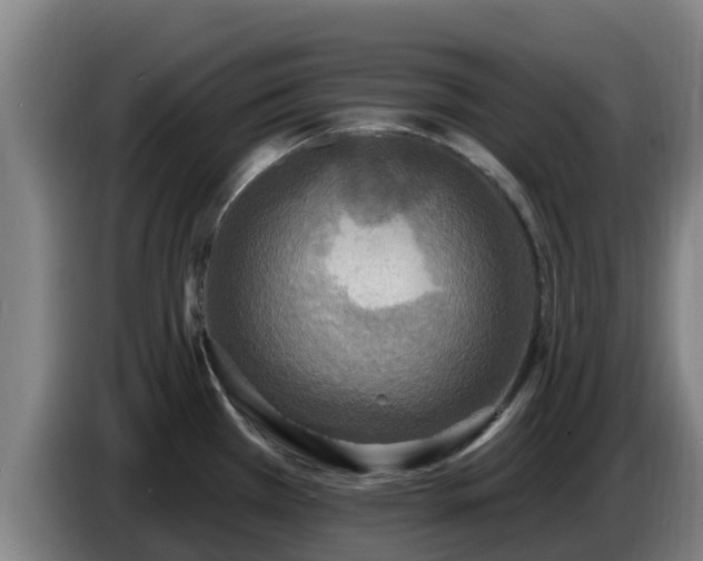 X0000086731385200704201637