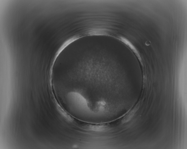 X0000086731386200704201637