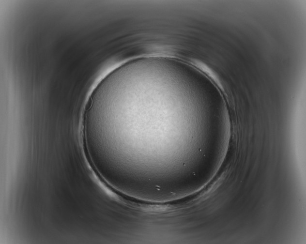 X0000086731387200704201637