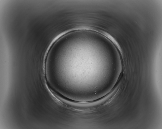 X0000086731388200704201637