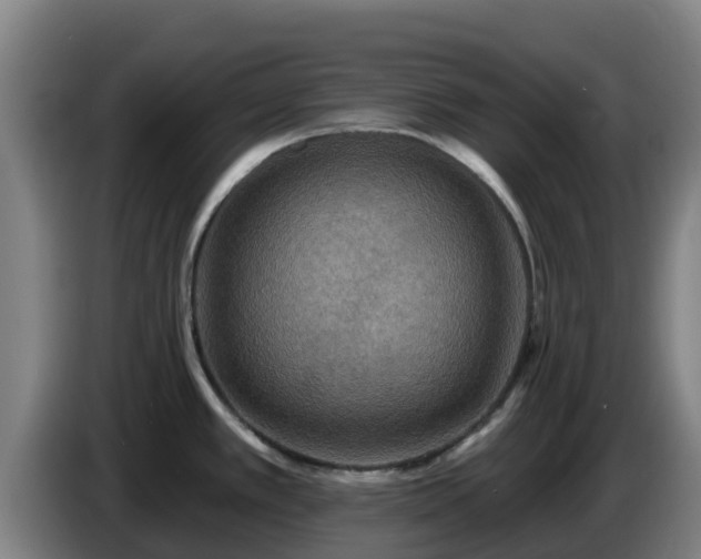 X0000086731389200704201637