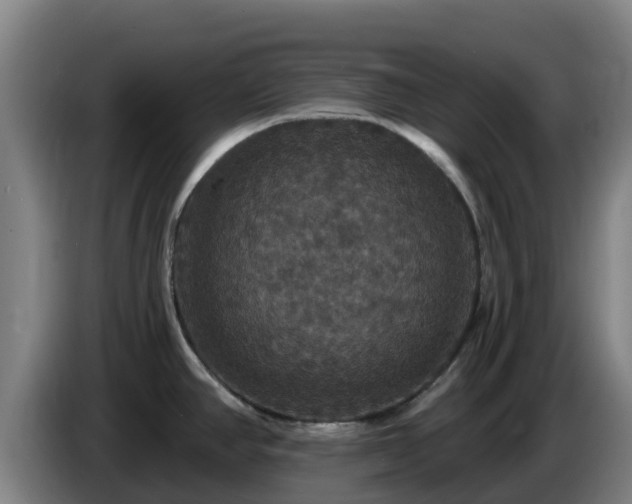 X0000086731390200704201637