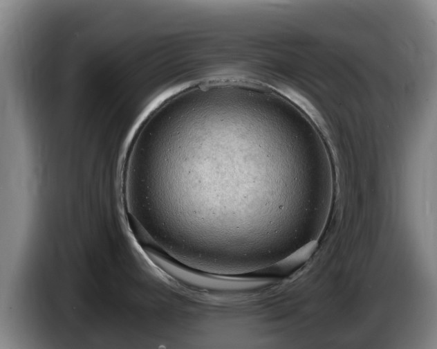 X0000086731392200704201637