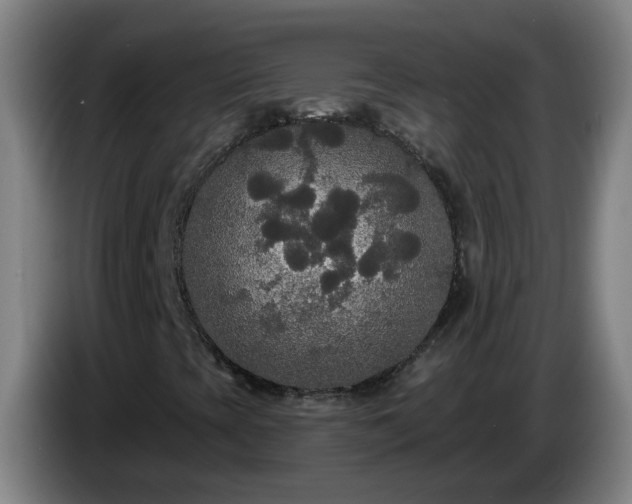 X0000086731393200704201637