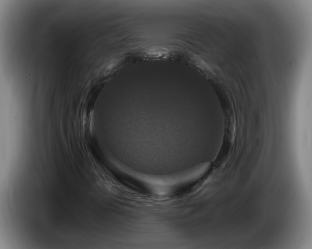 X0000086731394200704201637