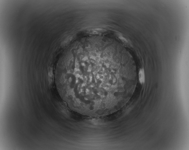 X0000086731395200704201637