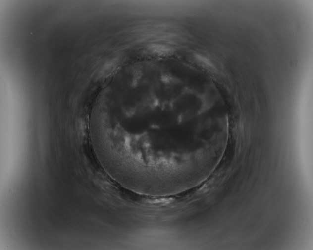 X0000086731397200704201637