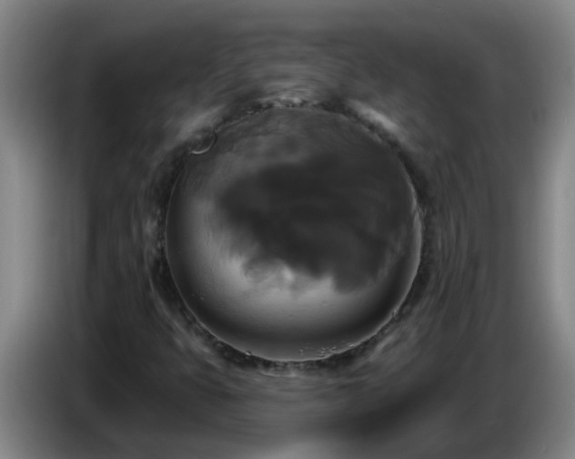 X0000086731399200704201637