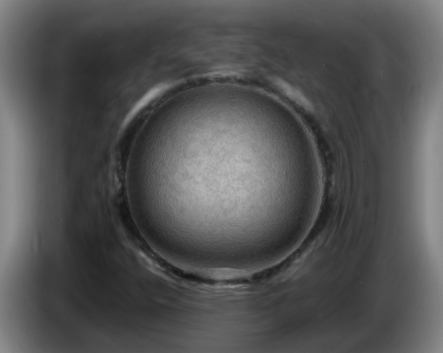 X0000086731400200704201637