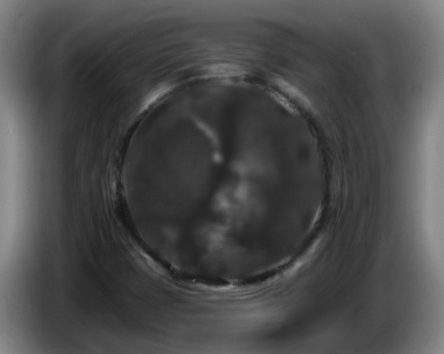 X0000086731401200704201637