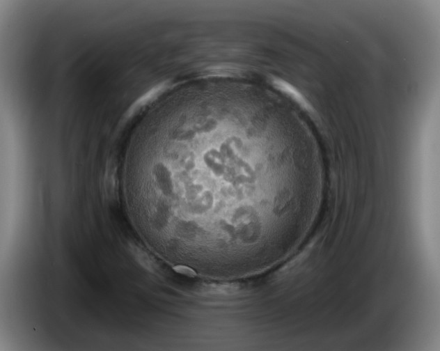 X0000086731403200704201637