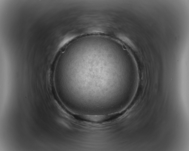 X0000086731404200704201637