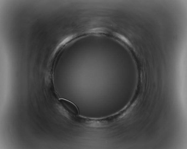 X0000086731405200704201637