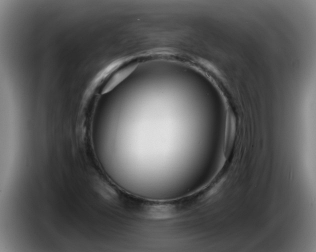 X0000086731406200704201637