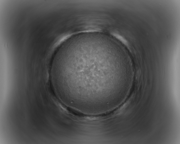 X0000086731407200704201637