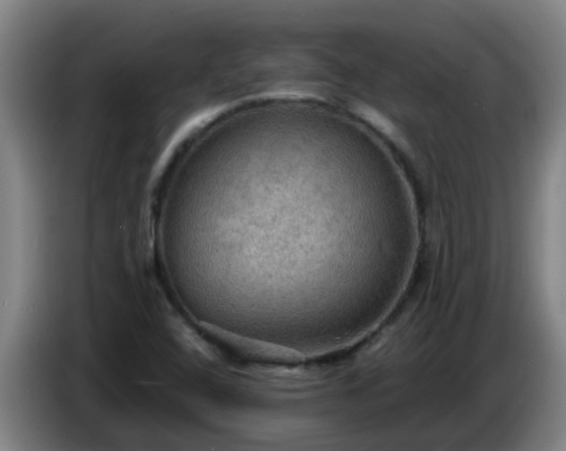 X0000086731408200704201637