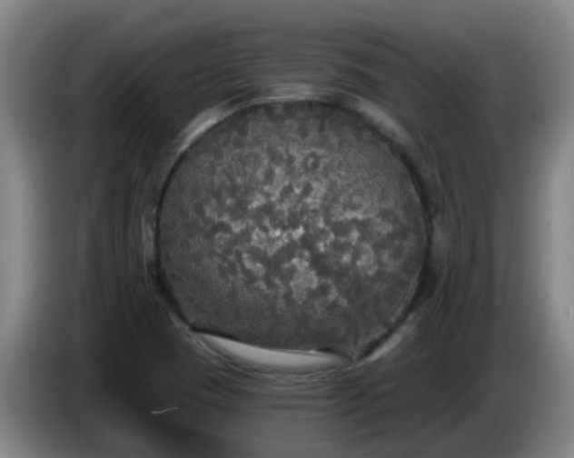 X0000086731409200704201637