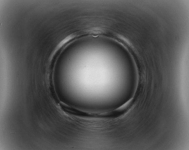 X0000086731410200704201637