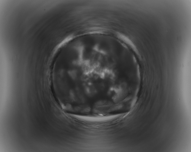 X0000086731411200704201637