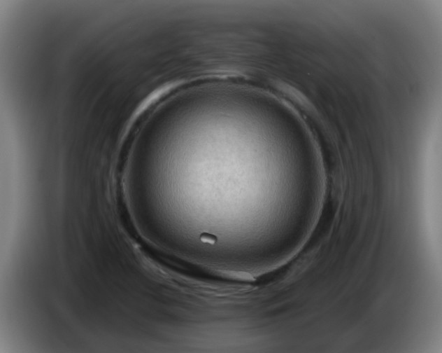 X0000086731412200704201637