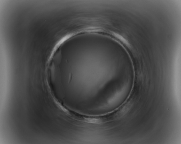 X0000086731413200704201637