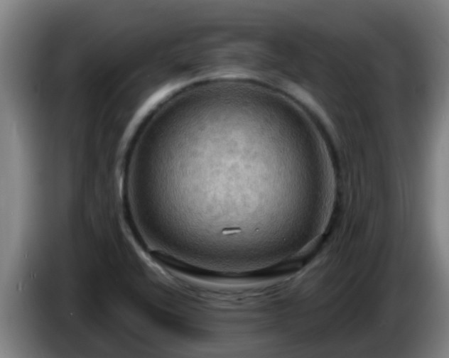 X0000086731416200704201637