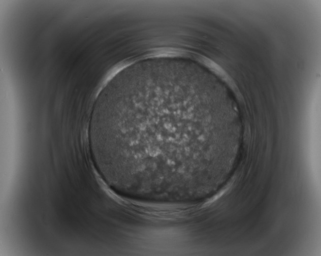 X0000086731417200704201637