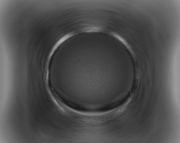 X0000086731418200704201637