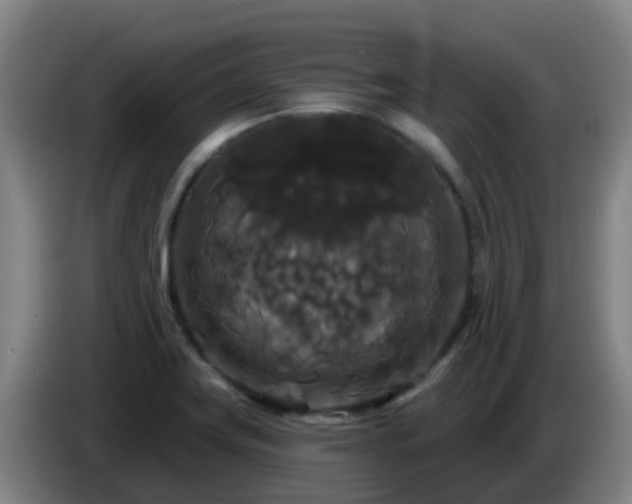 X0000086731419200704201637