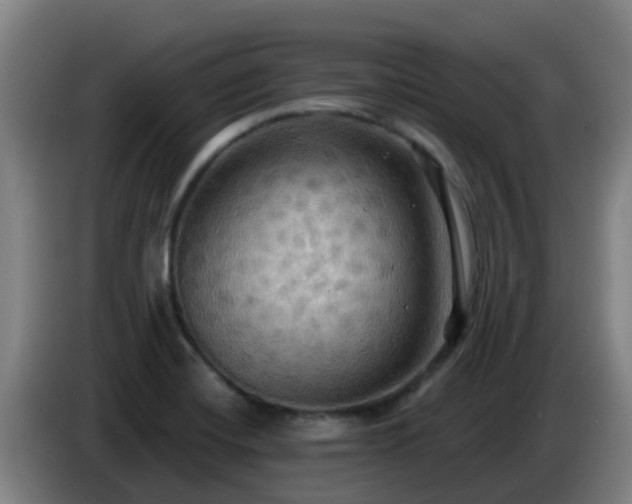 X0000086731420200704201637