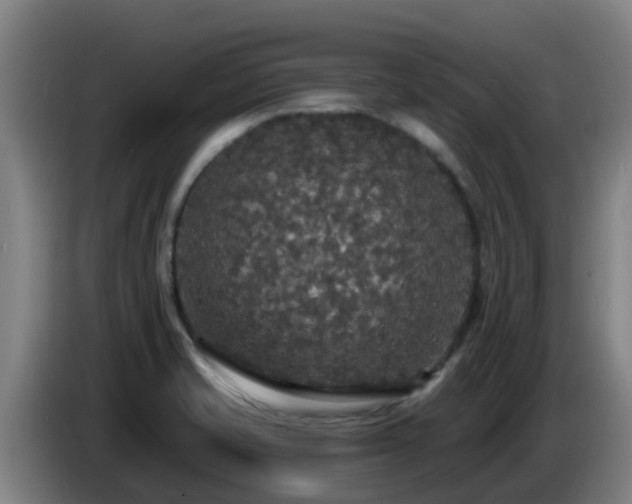 X0000086731421200704201637