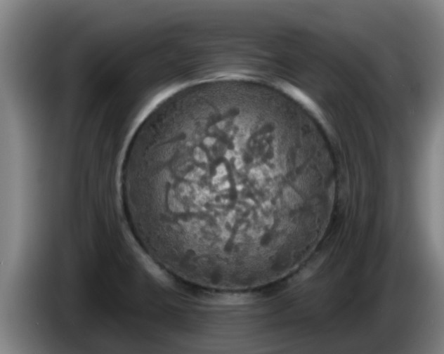 X0000086731423200704201637