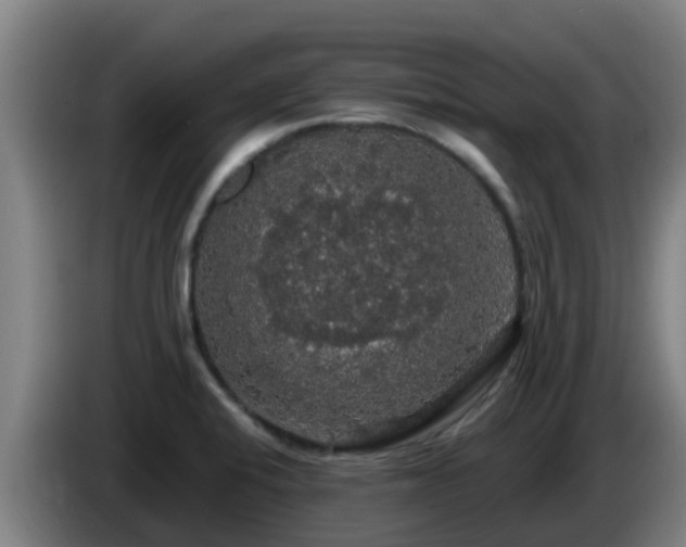 X0000086731424200704201637