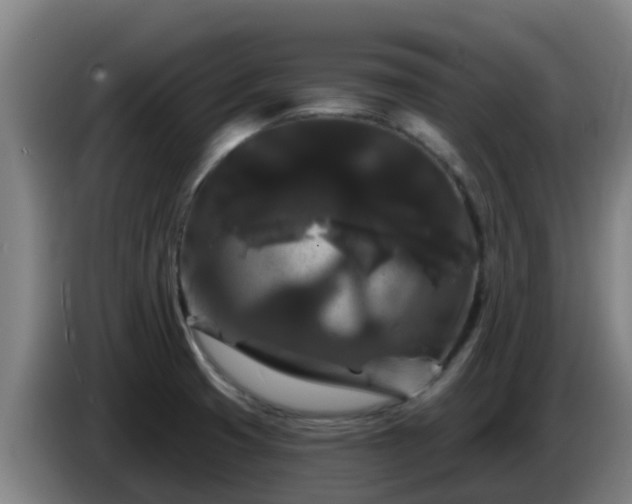 X0000086731425200704201637