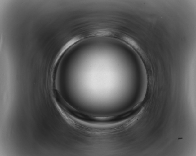 X0000086731426200704201637