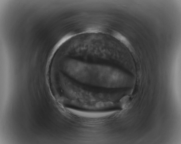 X0000086731427200704201637