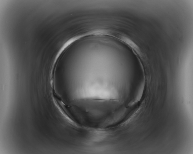 X0000086731428200704201637