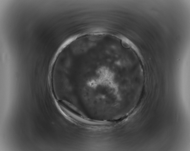 X0000086731429200704201637