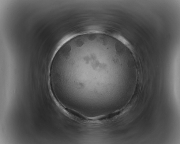 X0000086731431200704201637