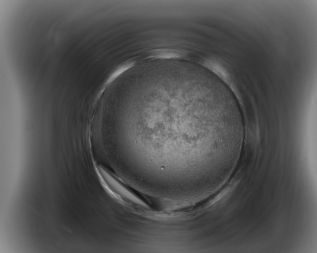 X0000086731433200704201637