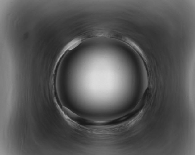 X0000086731434200704201637