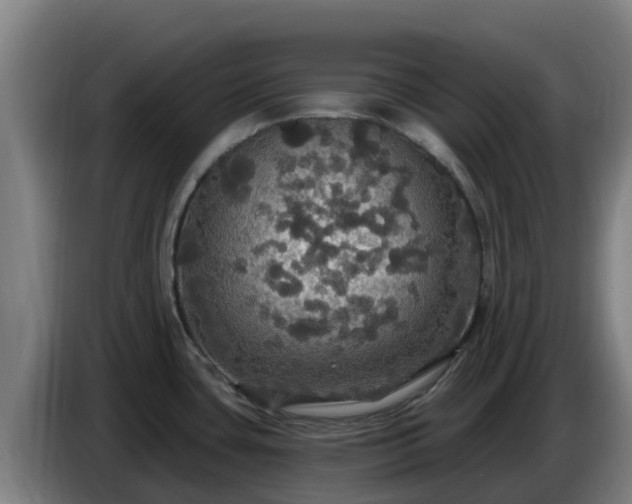 X0000086731435200704201637