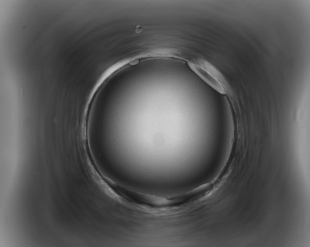 X0000086731436200704201637