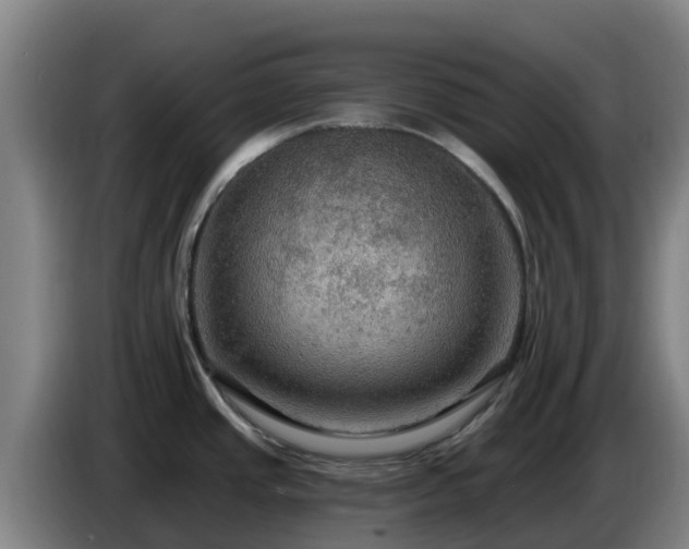 X0000086731437200704201637