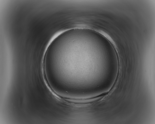 X0000086731440200704201637