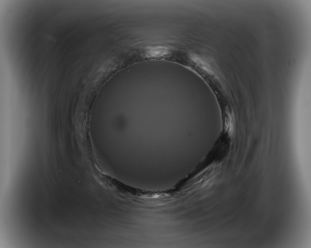 X0000086731441200704201637