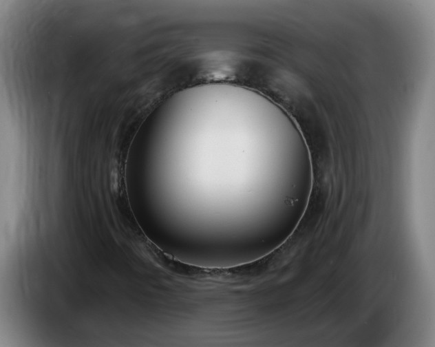 X0000086731442200704201637