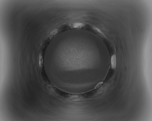 X0000086731443200704201637