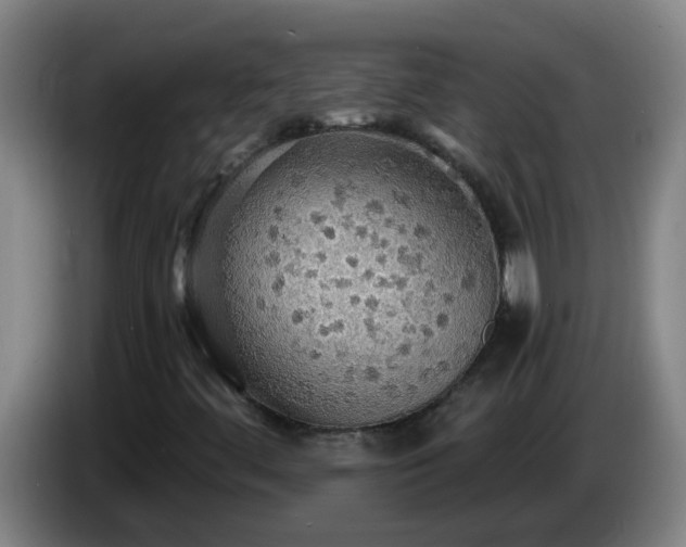 X0000086731444200704201637