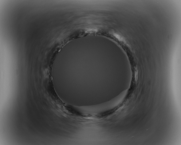 X0000086731445200704201637